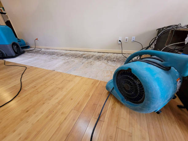 Professional Structural Drying technician working in Winfield, TN